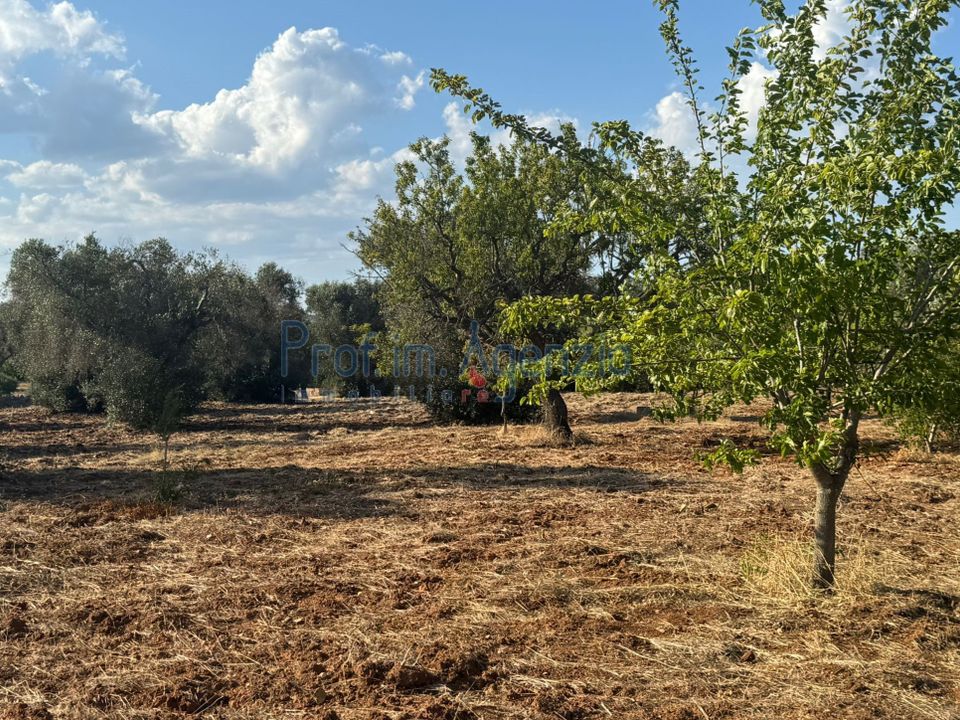 Helårsgrund i San Vito dei Normanni, Brindisi - foto 2